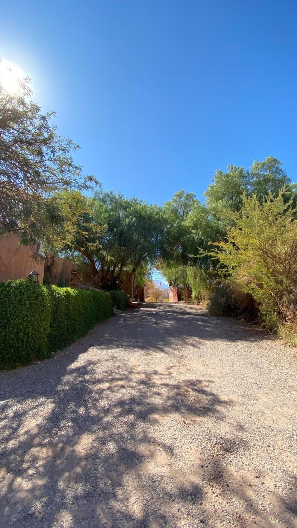 San Pedro Domos Villa San Pedro de Atacama Eksteriør billede