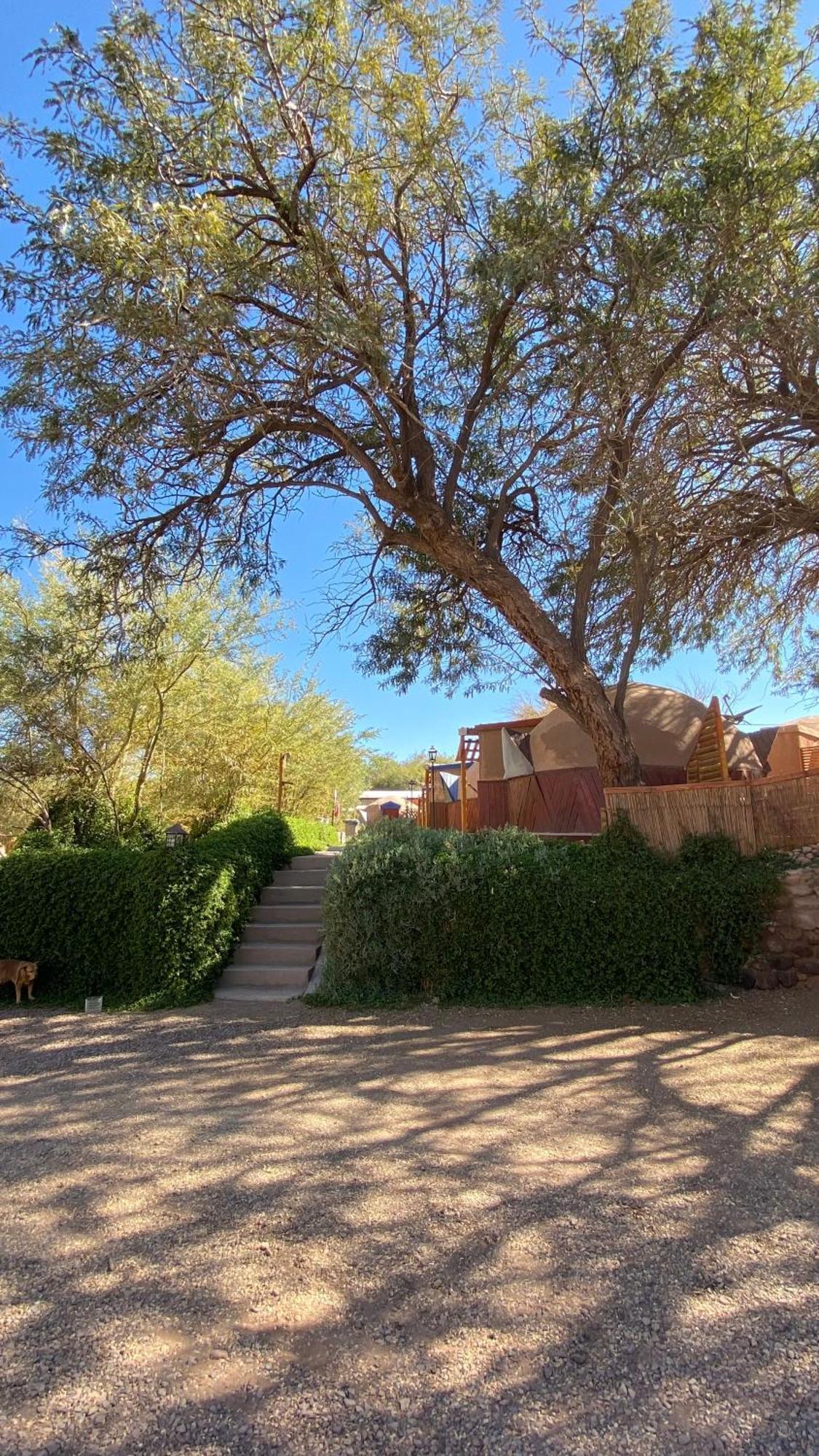 San Pedro Domos Villa San Pedro de Atacama Eksteriør billede
